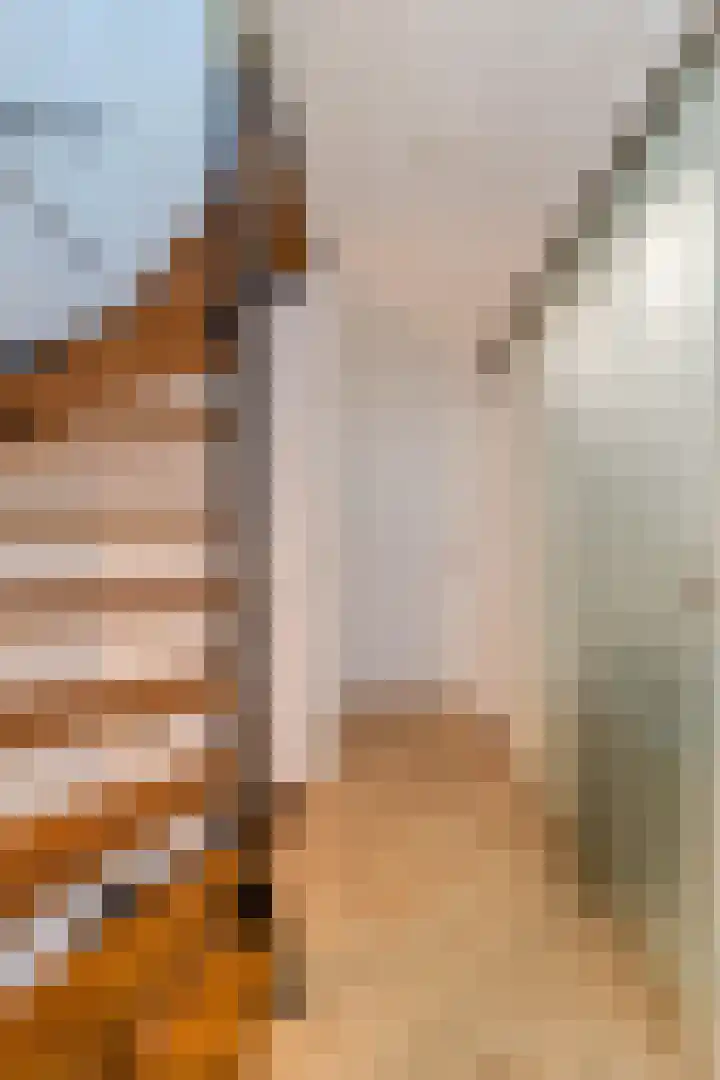 Palmhout 20 Zoetermeer thumbnail 34