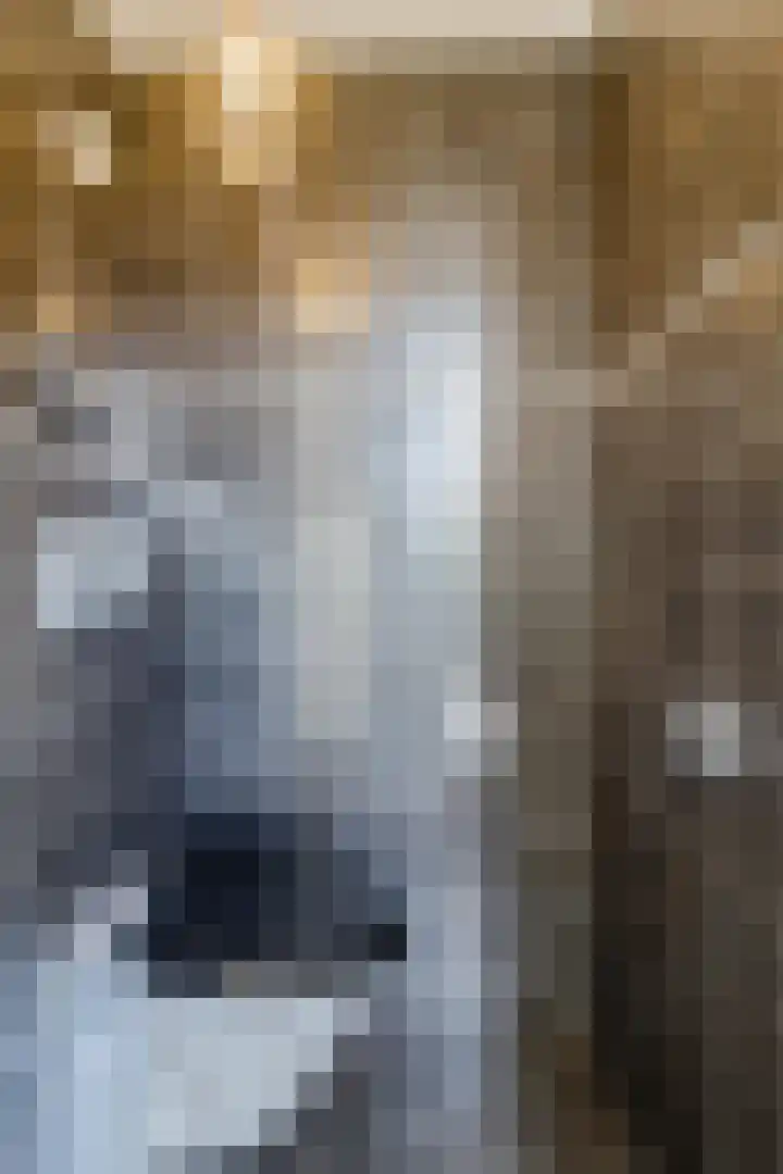 Palmhout 20 Zoetermeer thumbnail 35