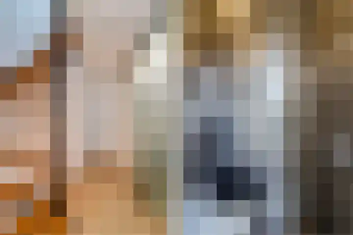 Palmhout 20 Zoetermeer thumbnail 36