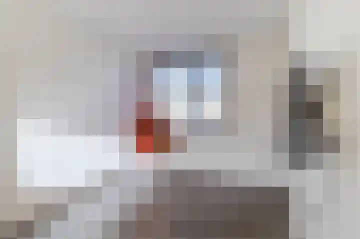 Palmhout 20 Zoetermeer thumbnail 38