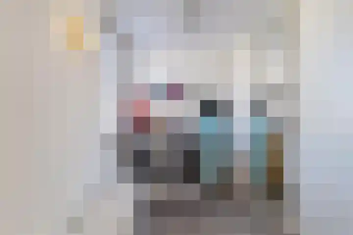 Palmhout 20 Zoetermeer thumbnail 40