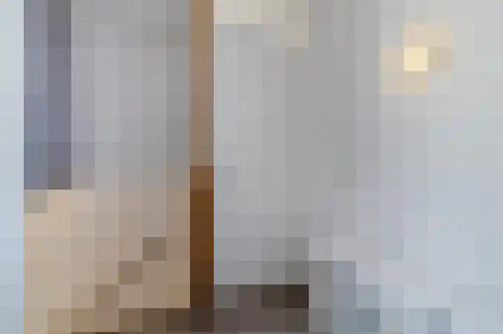 Palmhout 20 Zoetermeer thumbnail 41