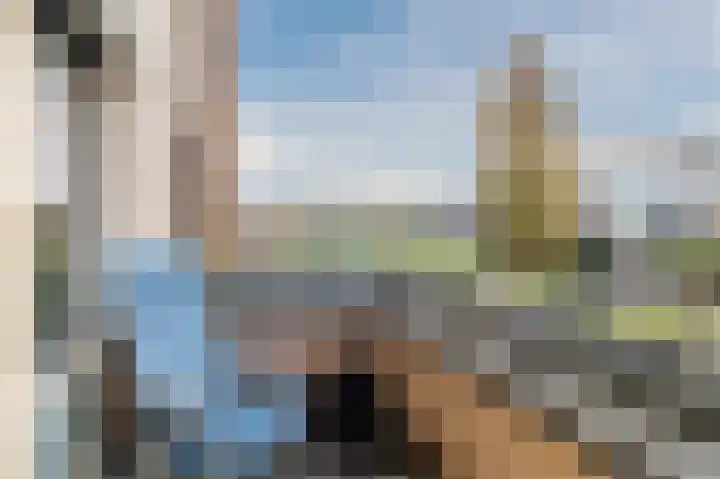 Palmhout 20 Zoetermeer thumbnail 42