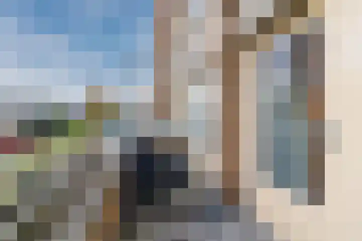 Palmhout 20 Zoetermeer thumbnail 43