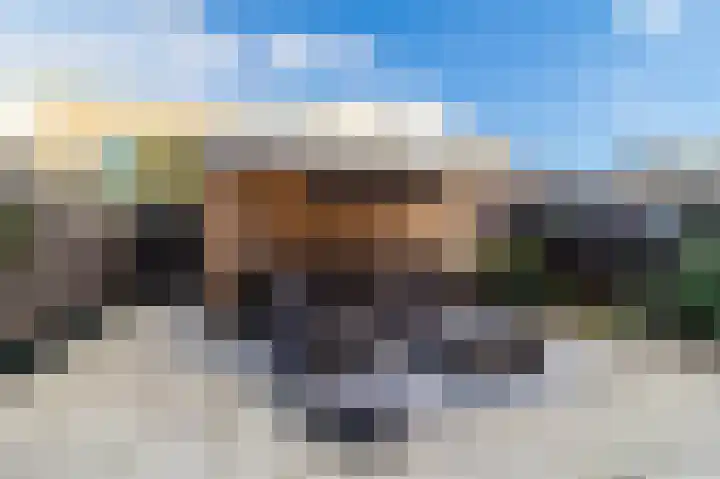 Palmhout 20 Zoetermeer thumbnail 44