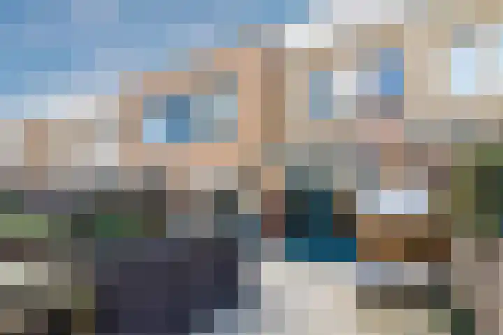 Palmhout 20 Zoetermeer thumbnail 48