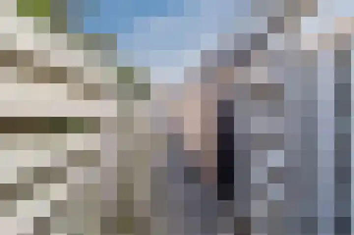 Palmhout 20 Zoetermeer thumbnail 49