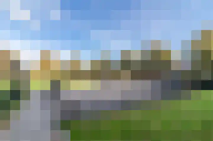 Palmhout 20 Zoetermeer thumbnail 50