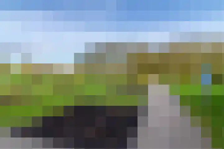 Palmhout 20 Zoetermeer thumbnail 52