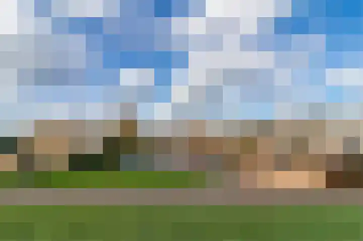 Palmhout 20 Zoetermeer thumbnail 53