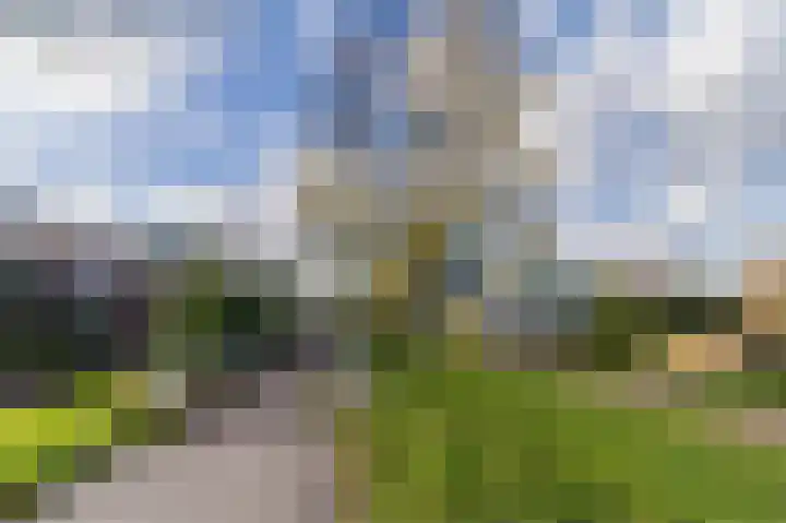 Palmhout 20 Zoetermeer thumbnail 55