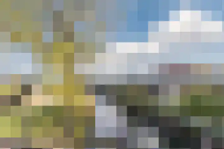 Palmhout 20 Zoetermeer thumbnail 56
