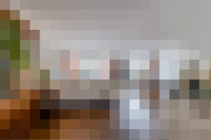 Palmhout 20 Zoetermeer thumbnail 8