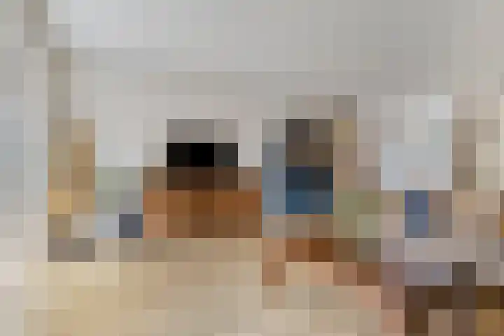 Palmhout 34 Barendrecht thumbnail 10