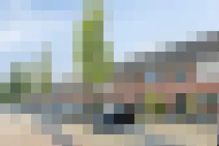 Palmhout 34 Barendrecht thumbnail 29
