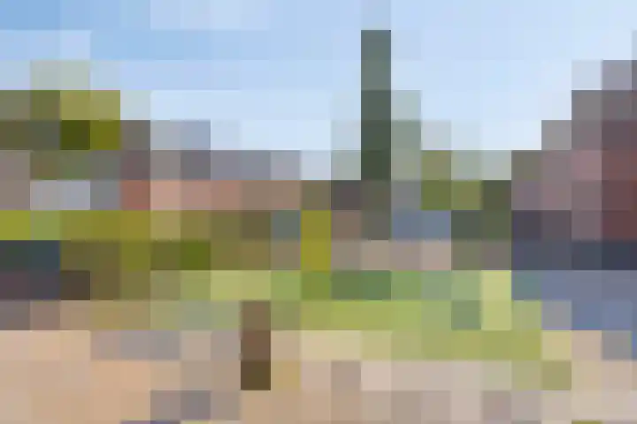 Palmhout 34 Barendrecht thumbnail 30