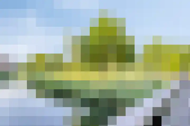 Palmhout 34 Barendrecht thumbnail 31
