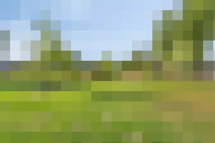 Palmhout 34 Barendrecht thumbnail 32