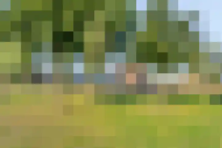 Palmhout 34 Barendrecht thumbnail 33