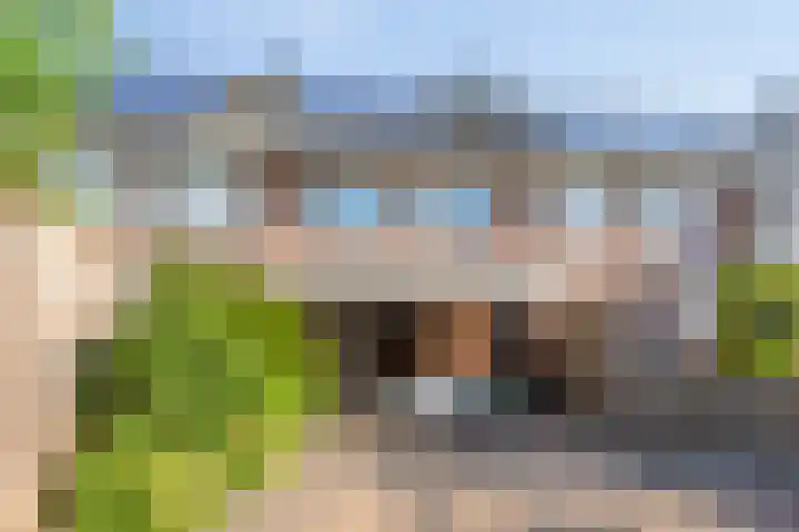 Palmhout 34 Barendrecht thumbnail 4