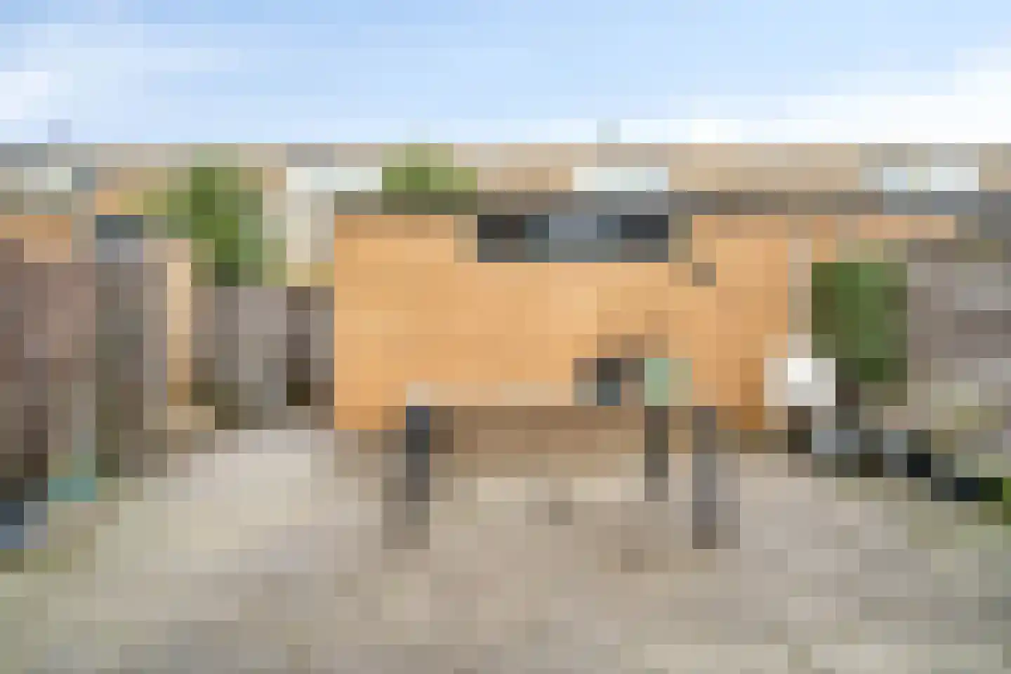 Palmhout 8 Zoetermeer thumbnail 12