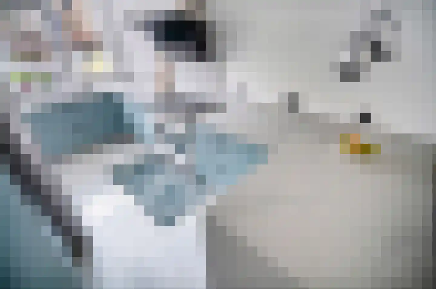 Palmhout 8 Zoetermeer thumbnail 13