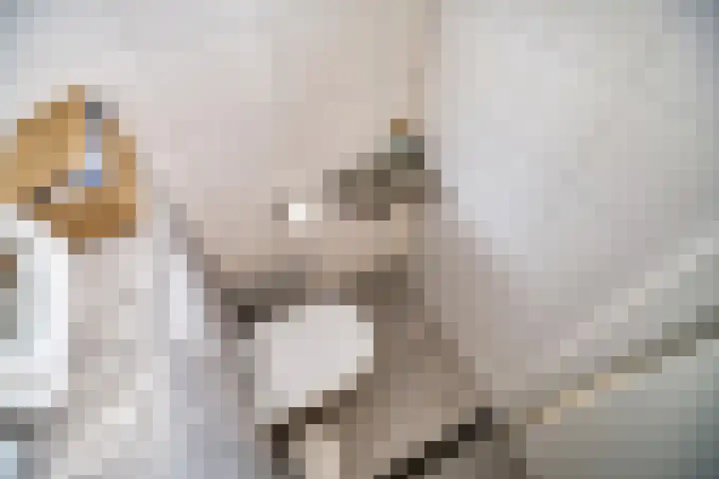 Palmhout 8 Zoetermeer thumbnail 24