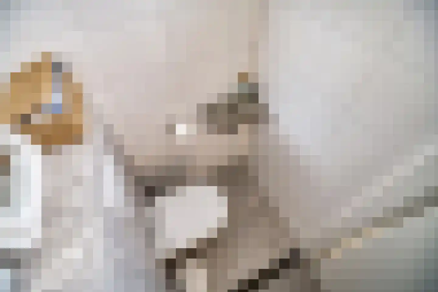 Palmhout 8 Zoetermeer thumbnail 24