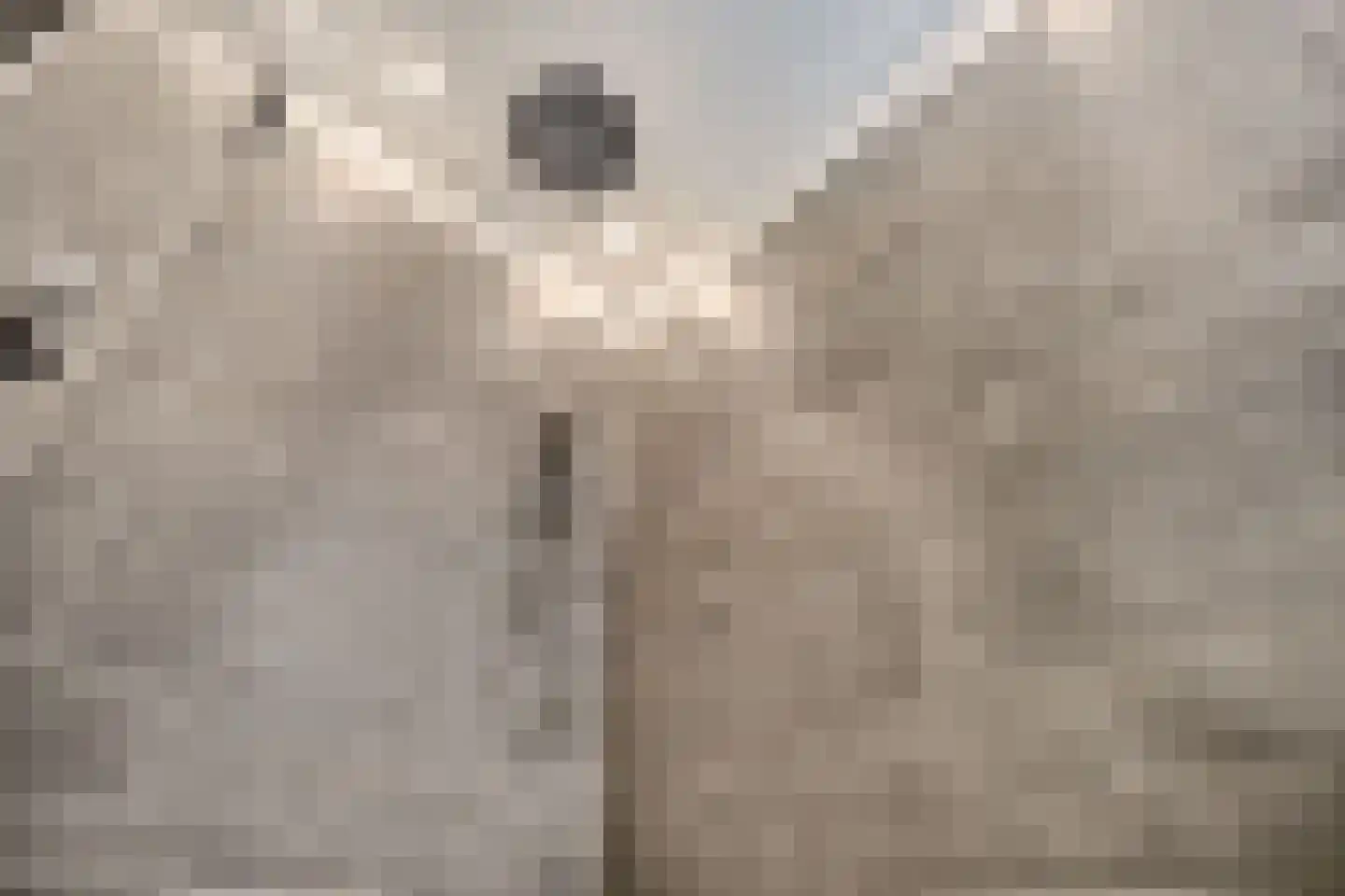 Palmhout 8 Zoetermeer thumbnail 31