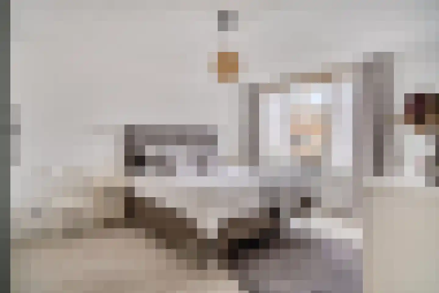 Palmhout 8 Zoetermeer thumbnail 32