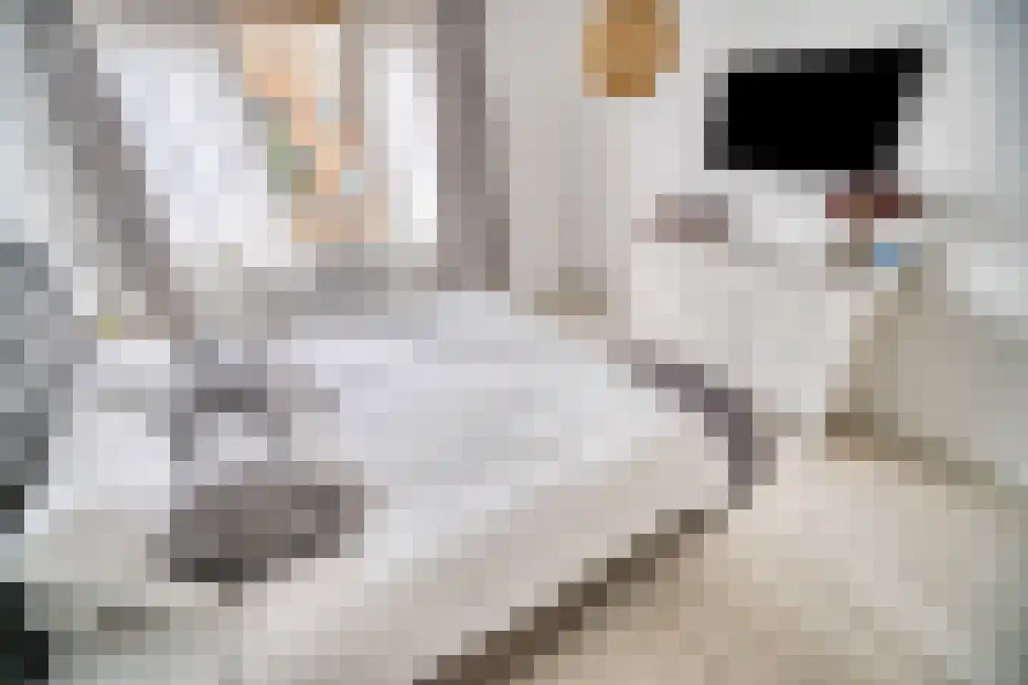 Palmhout 8 Zoetermeer thumbnail 33