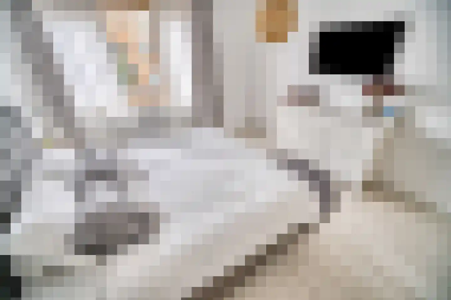 Palmhout 8 Zoetermeer thumbnail 33