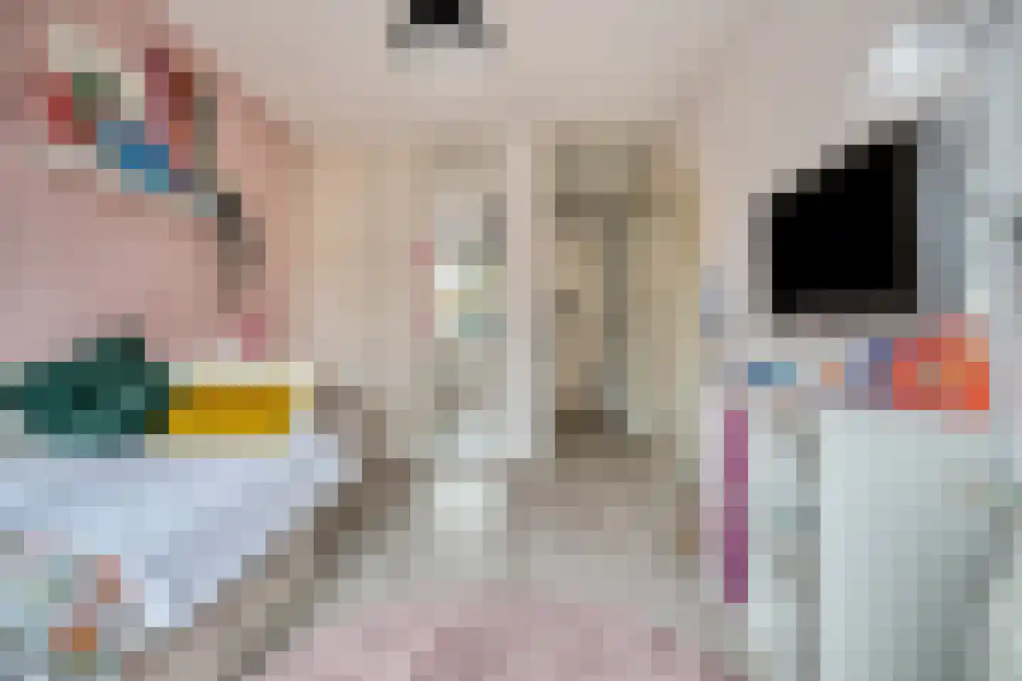 Palmhout 8 Zoetermeer thumbnail 36