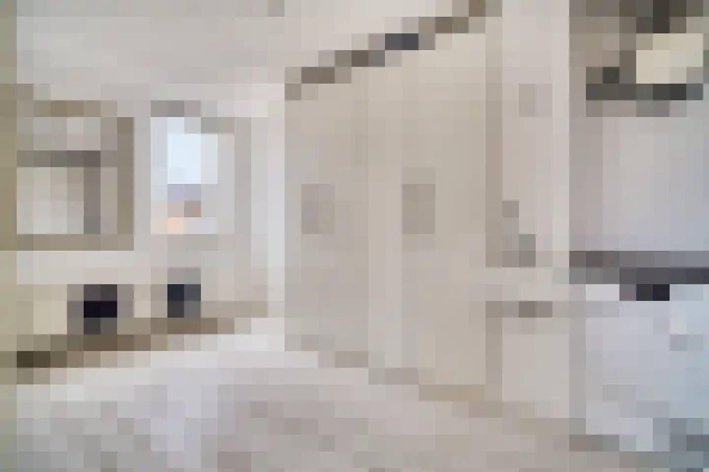 Palmhout 8 Zoetermeer thumbnail 43