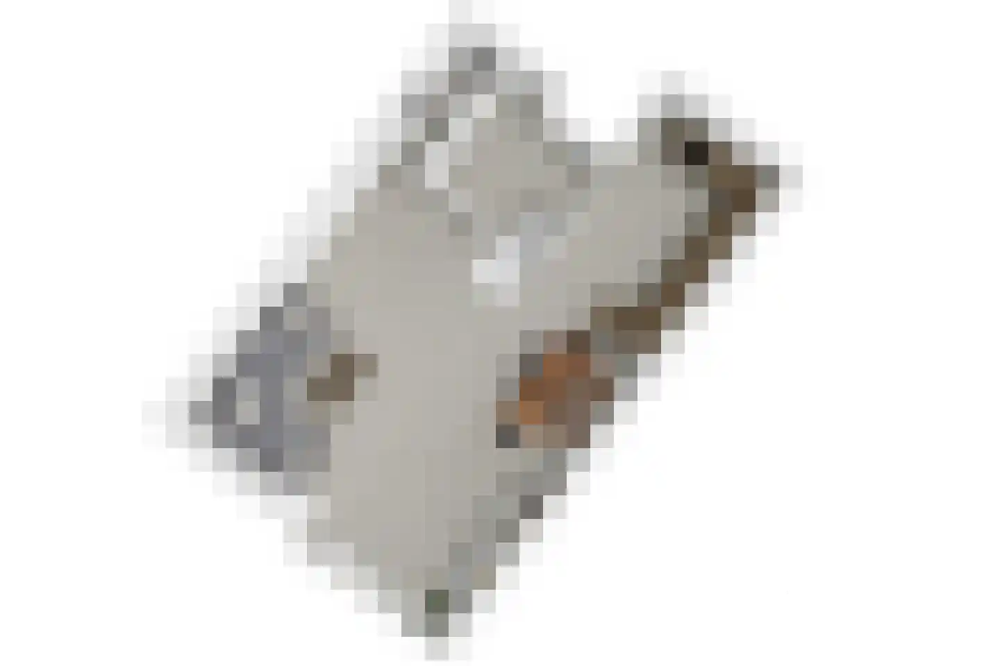 Palmhout 8 Zoetermeer thumbnail 53