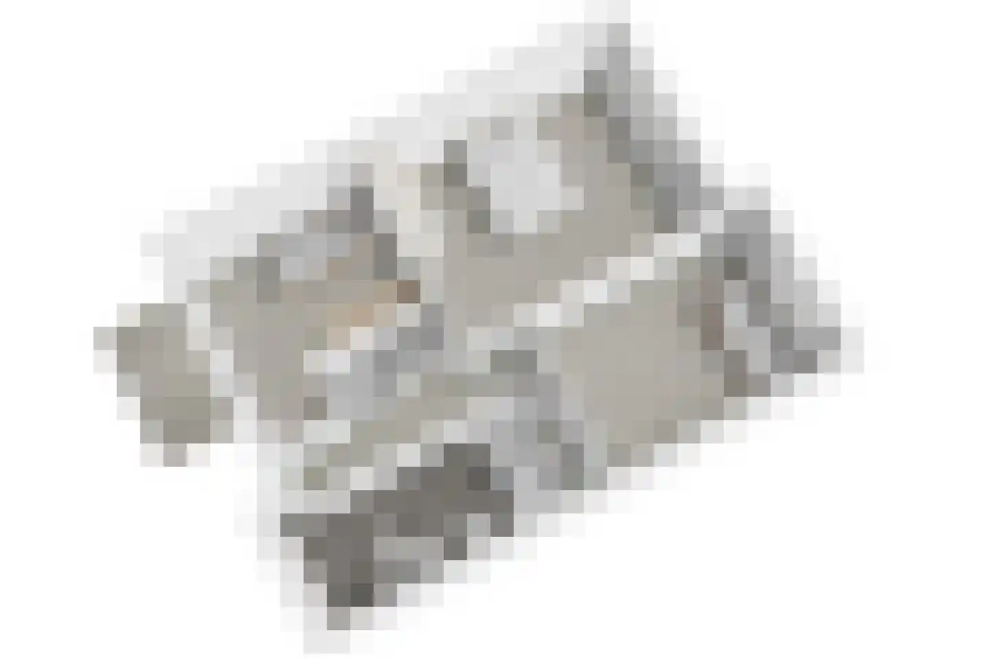 Palmhout 8 Zoetermeer thumbnail 55