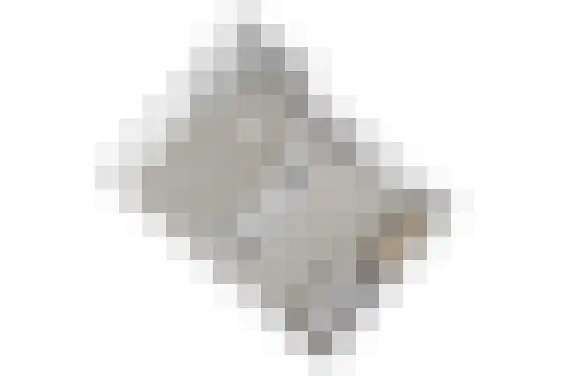 Palmhout 8 Zoetermeer thumbnail 57