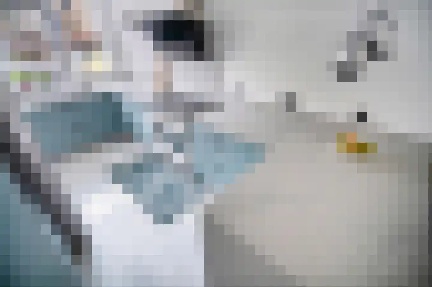 Palmhout 8 Zoetermeer thumbnail 6