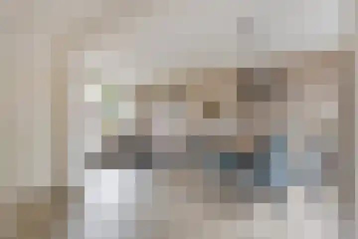 Palmhoutstraat 12 Helmond thumbnail 10
