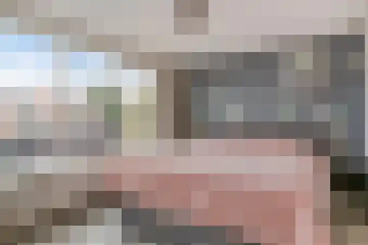 Palmhoutstraat 12 Helmond thumbnail 12