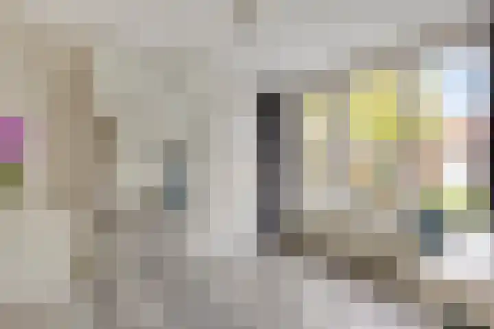 Palmhoutstraat 12 Helmond thumbnail 16