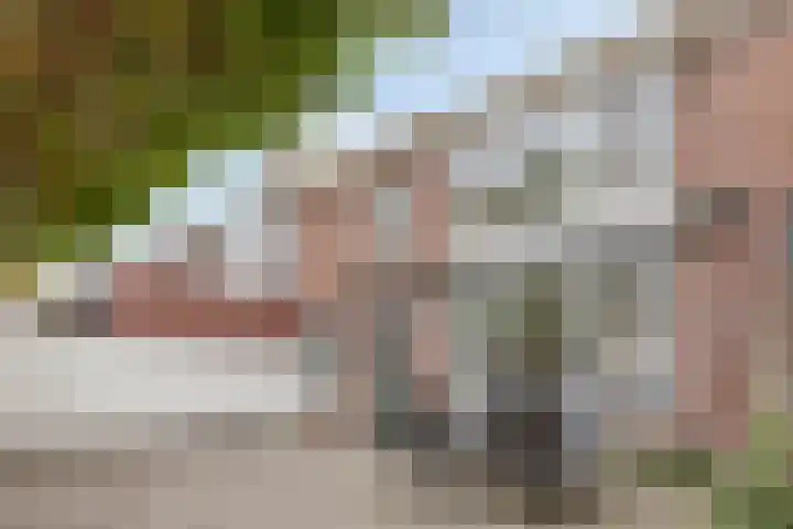 Palmhoutstraat 12 Helmond thumbnail 21
