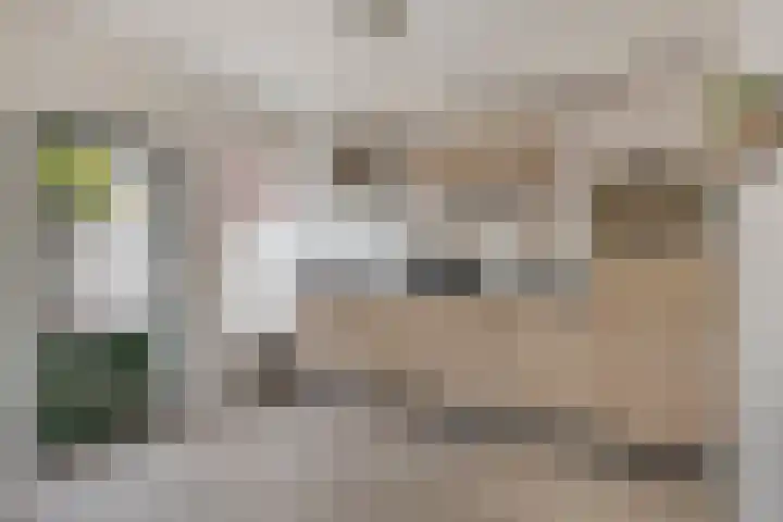 Palmhoutstraat 12 Helmond thumbnail 9