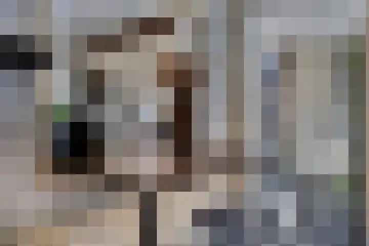 Palmhoutstraat 18 Helmond thumbnail 20