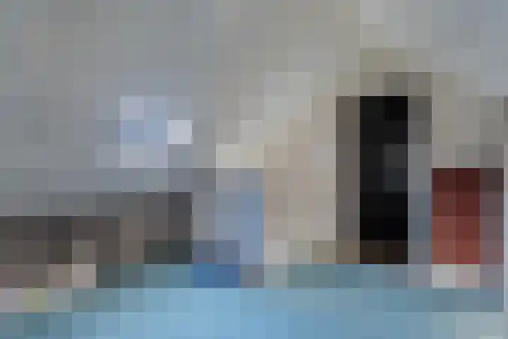 Palmhoutstraat 18 Helmond thumbnail 33