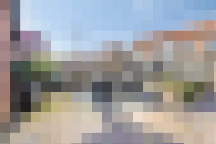 Palmhoutstraat 18 Helmond thumbnail 34