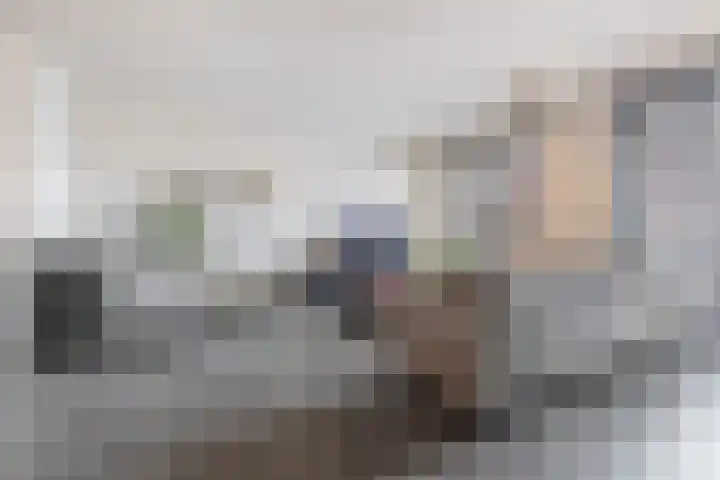 Palmkool 4 Dorst thumbnail 10
