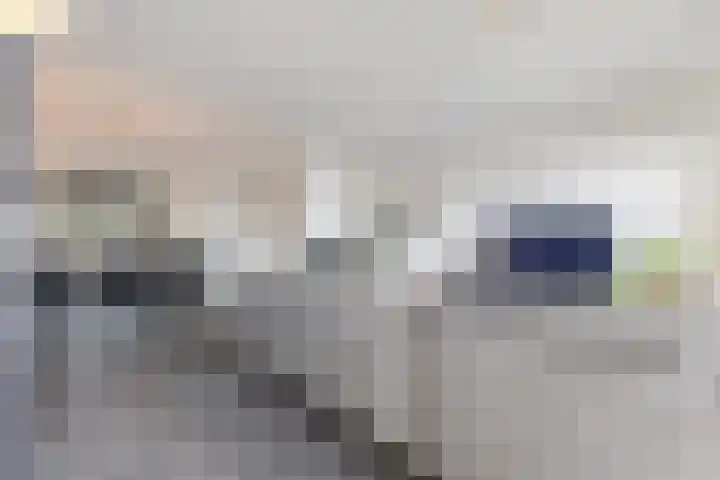 Palmkool 4 Dorst thumbnail 13