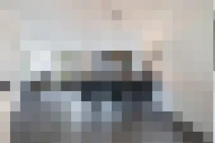 Palmkool 4 Dorst thumbnail 16