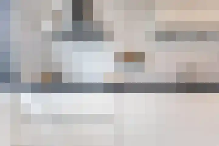 Palmkool 4 Dorst thumbnail 18